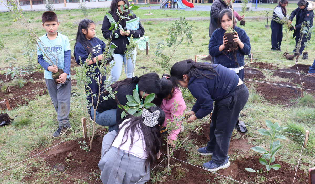 Corporación Umbrales innova con bosques Miyawaki en La Araucanía
