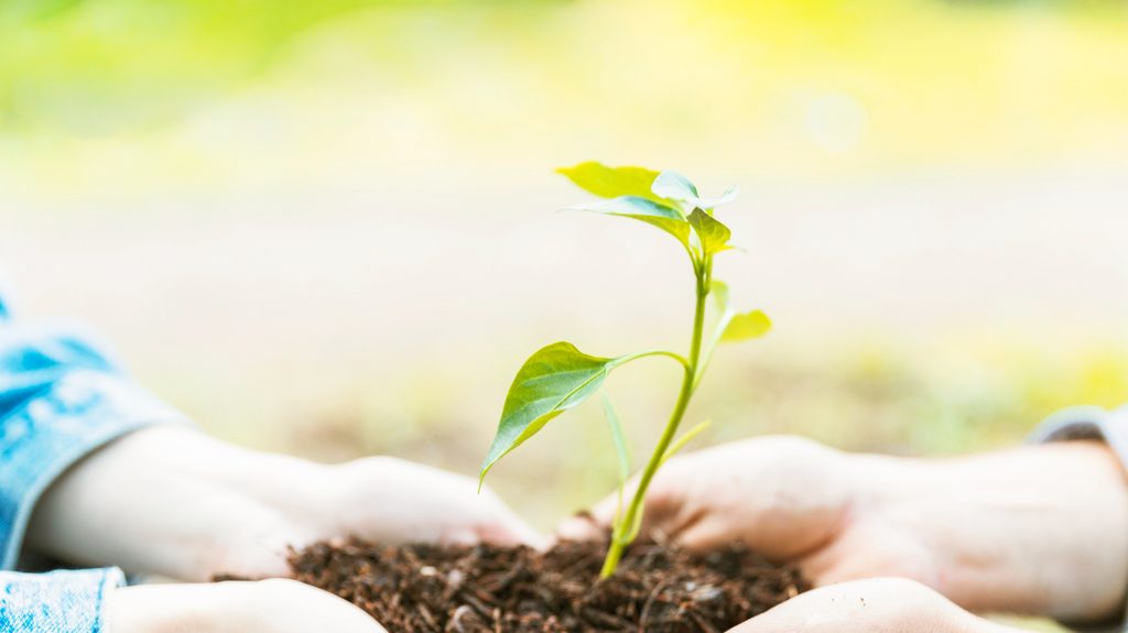 UCT OFRECE CURSO GRATUITO Y CERTIFICADO SOBRE SUSTENTABILIDAD Y…