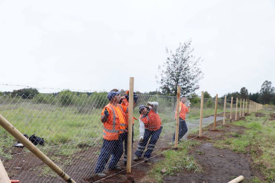 Chillán Viejo suspende idea de crear un nuevo cementerio y buscan…