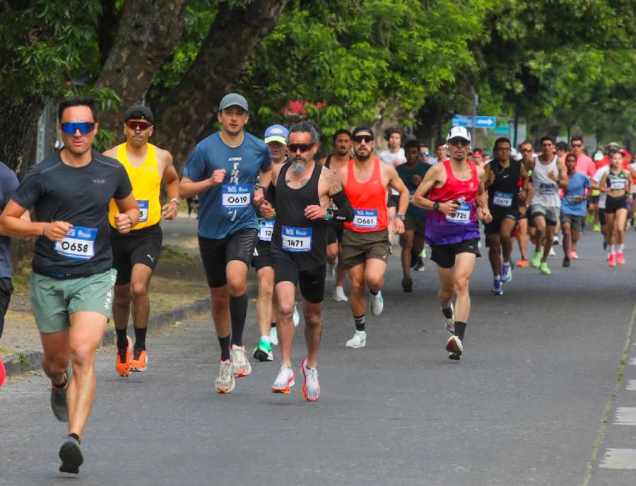 “Reforest Running” llega a Chillán
