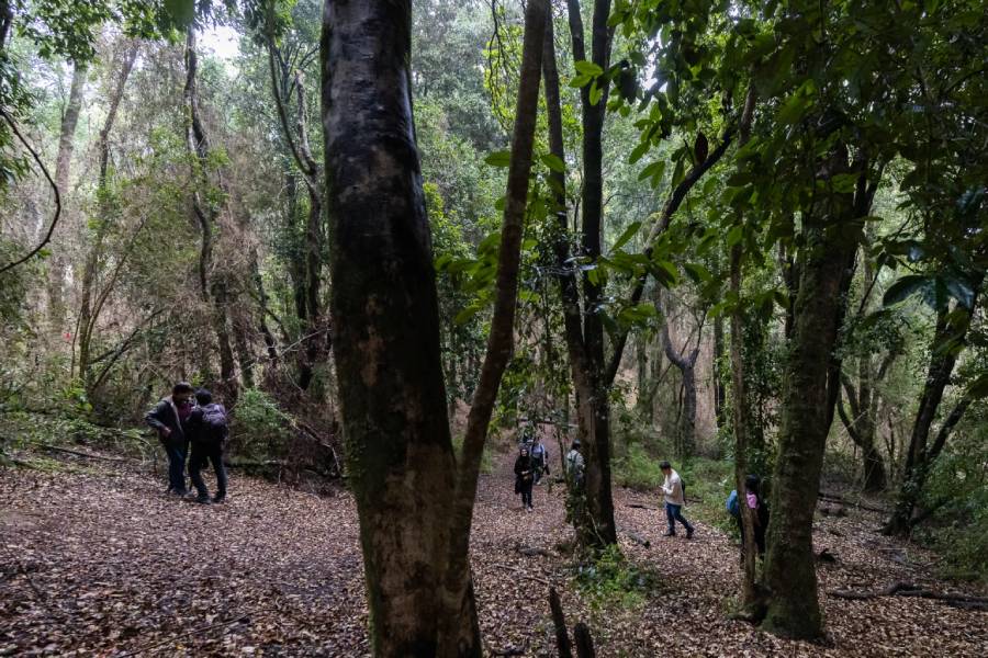 Ñuble concentra en pocas comunas el uso del trato directo por emergencia