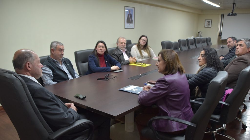 SEREMI DE LA MUJER IMPULSA TRABAJO INTERSECTORIAL PARA AVANZAR EN…