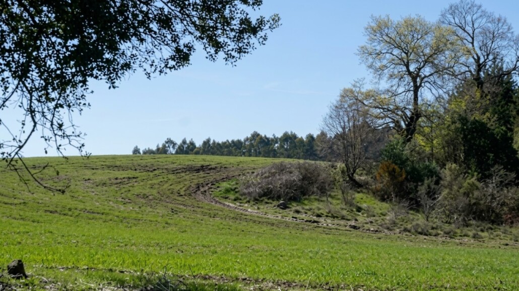 Cerro del Diablo en Quilleco