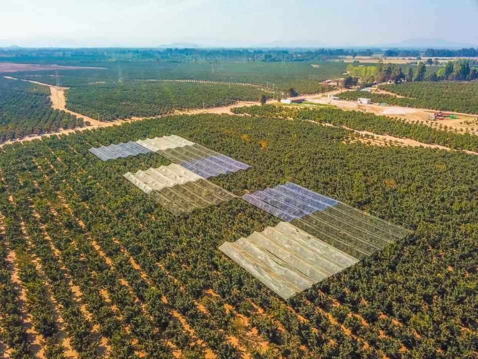 Fruticultura protegida: nuevas publicaciones entregan herramientas…