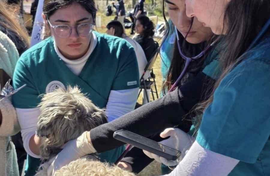 Veterinaria UdeC y Colmevet Ñuble realizarán jornada de…
