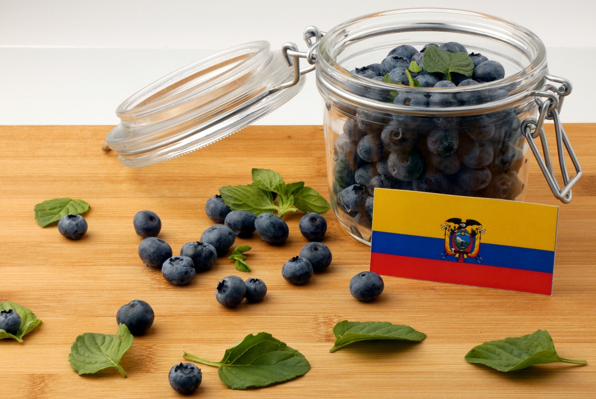 Ecuador proyecta consolidar su oferta de arándanos premium y apunta…