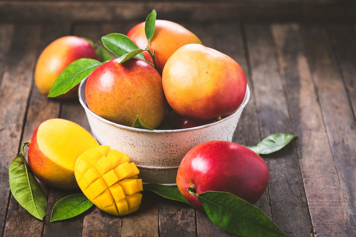 Pardeamiento del mango es por exposición al frío, confirma Embrapa