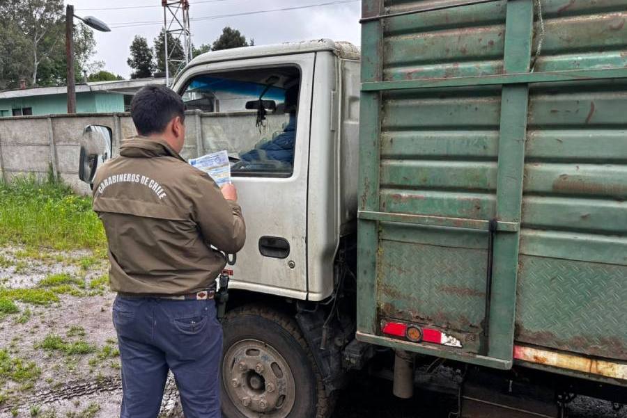 Carabineros suma 20 detenidos por el delito de abigeato este año en…