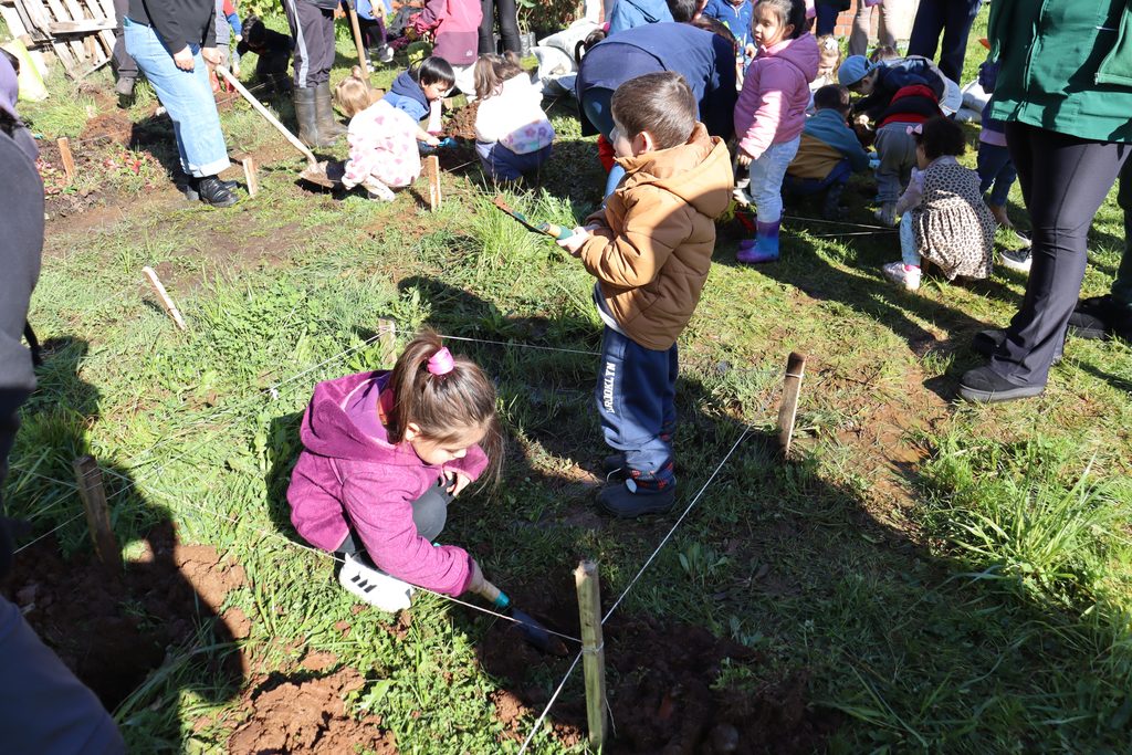 CORPORACIÓN UMBRALES Y CONAF PLANTAN 400 ÁRBOLES NATIVOS EN LA…