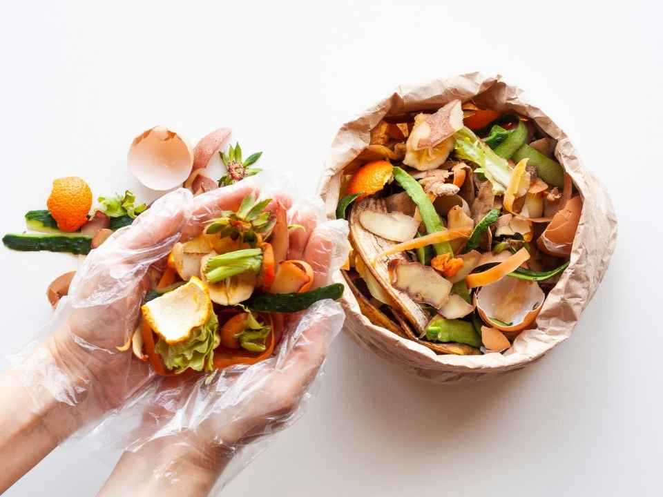 Día Mundial de la Alimentación