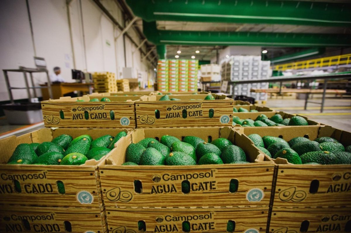 Camposol se asocia con red mexicana de productores de palta para…