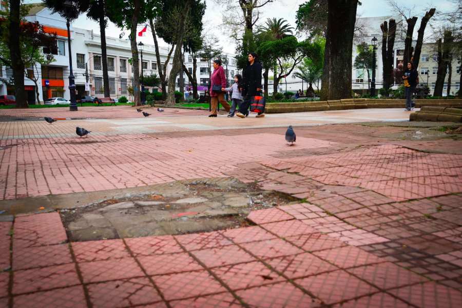 Usar y cuidar la plaza