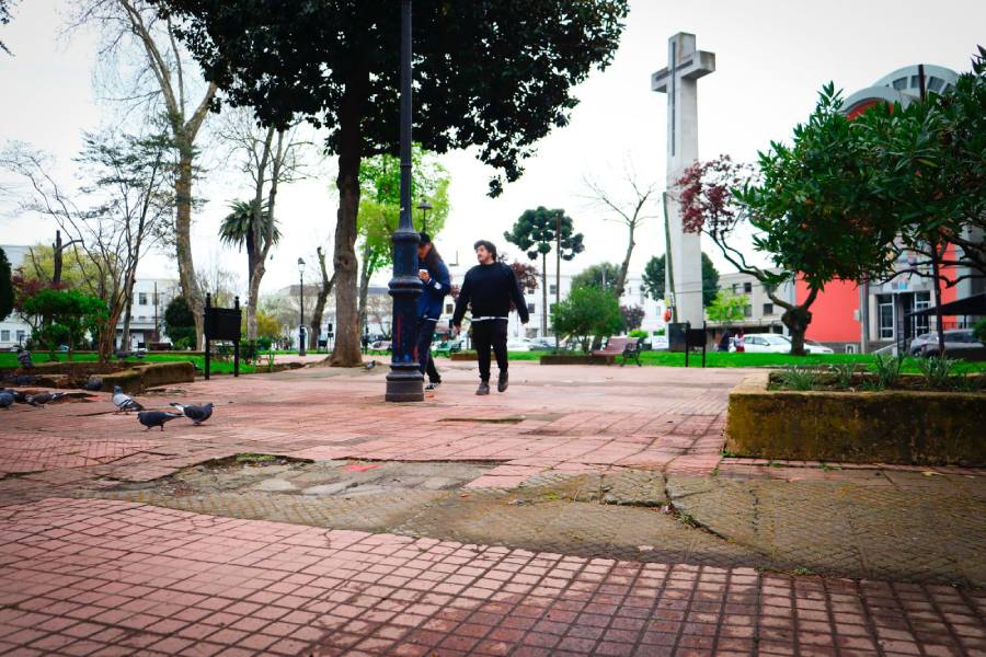En prisión preventiva queda imputado por robo frustrado en parcela…