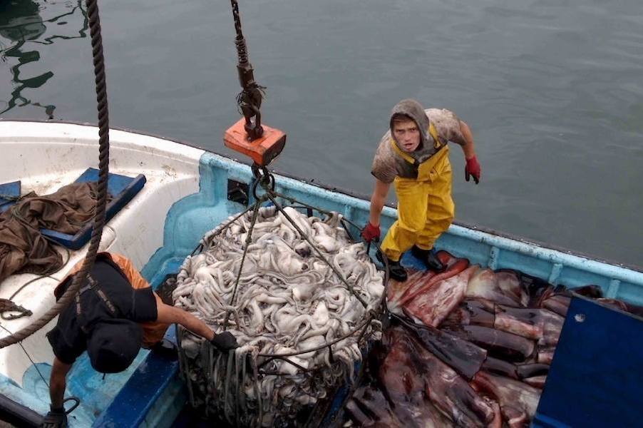 Consejero regional critica proyecto que permitiría “pesca de…