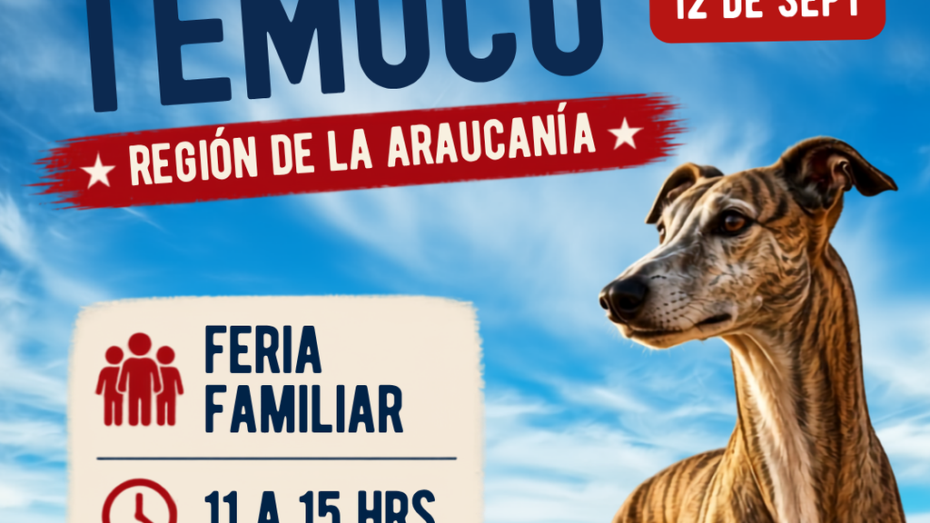 TEMUCO SE SUMA A LA MOVILIZACIÓN NACIONAL POR TRADICIONES SIN…