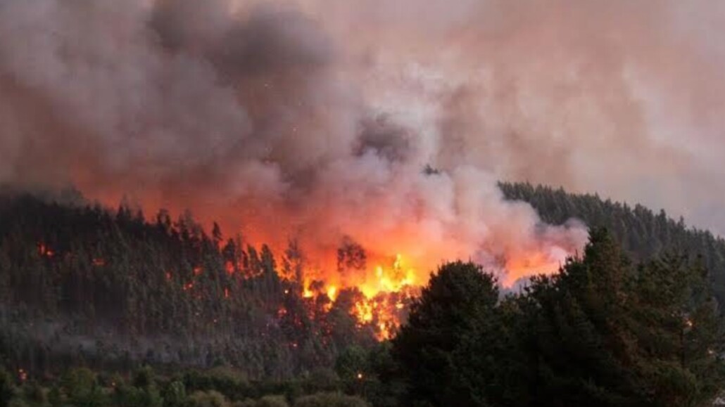CONAF advierte una temporada compleja de incendios forestales en…