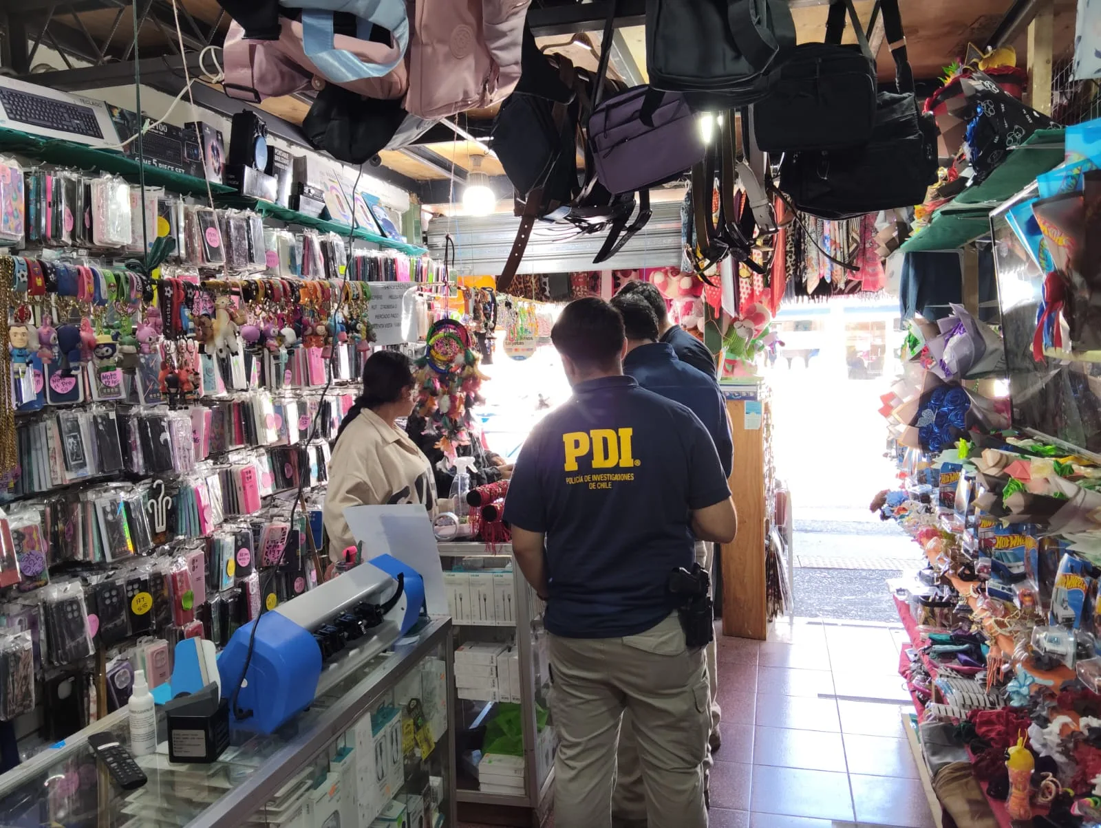 PDI fiscalizó a 79 extranjeros en La Araucanía