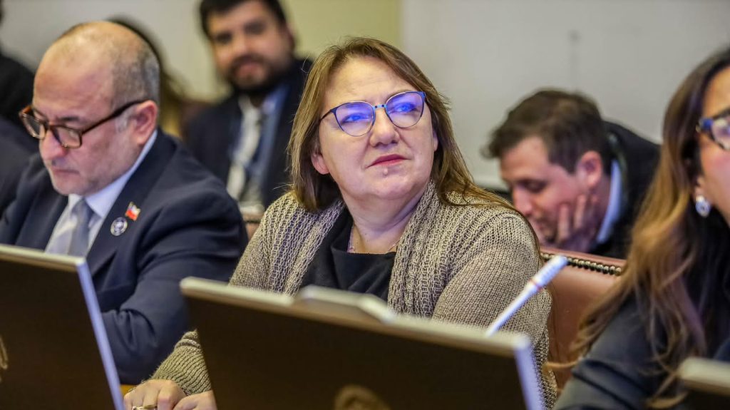 DIPUTADA FLOR CONTRERAS VALORA HISTÓRICA APROBACIÓN DE PROYECTO QUE…