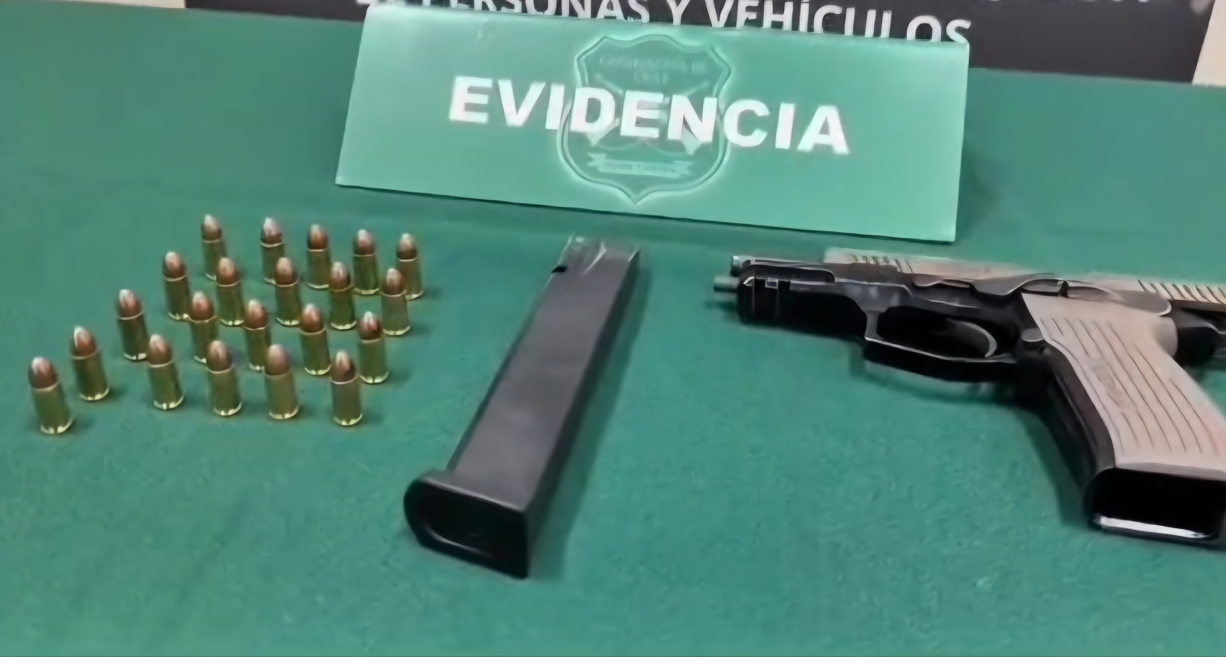 Delincuente fué detenido y registra más de 16 detenciones en Ñuble.