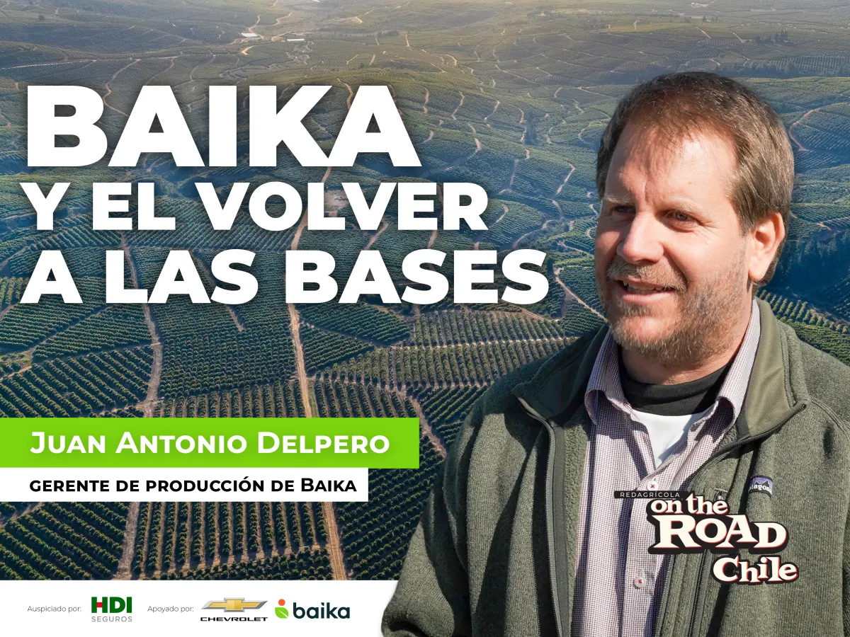 ‘Volver a las bases’: la apuesta de Baika para reconstruir la…