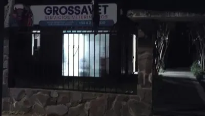 VETERINARIA EN COIHUECO FUE VÍCTIMA DE ROBO DURANTE LA MADRUGADA.