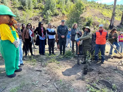 Inician plantación de 900 árboles nativos en el Jardín Botánico de…
