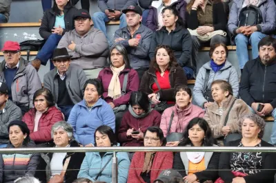 317 FAMILIAS AGRICULTORAS DE VILLARRICA RECIBEN APOYO POR EMERGENCIA…